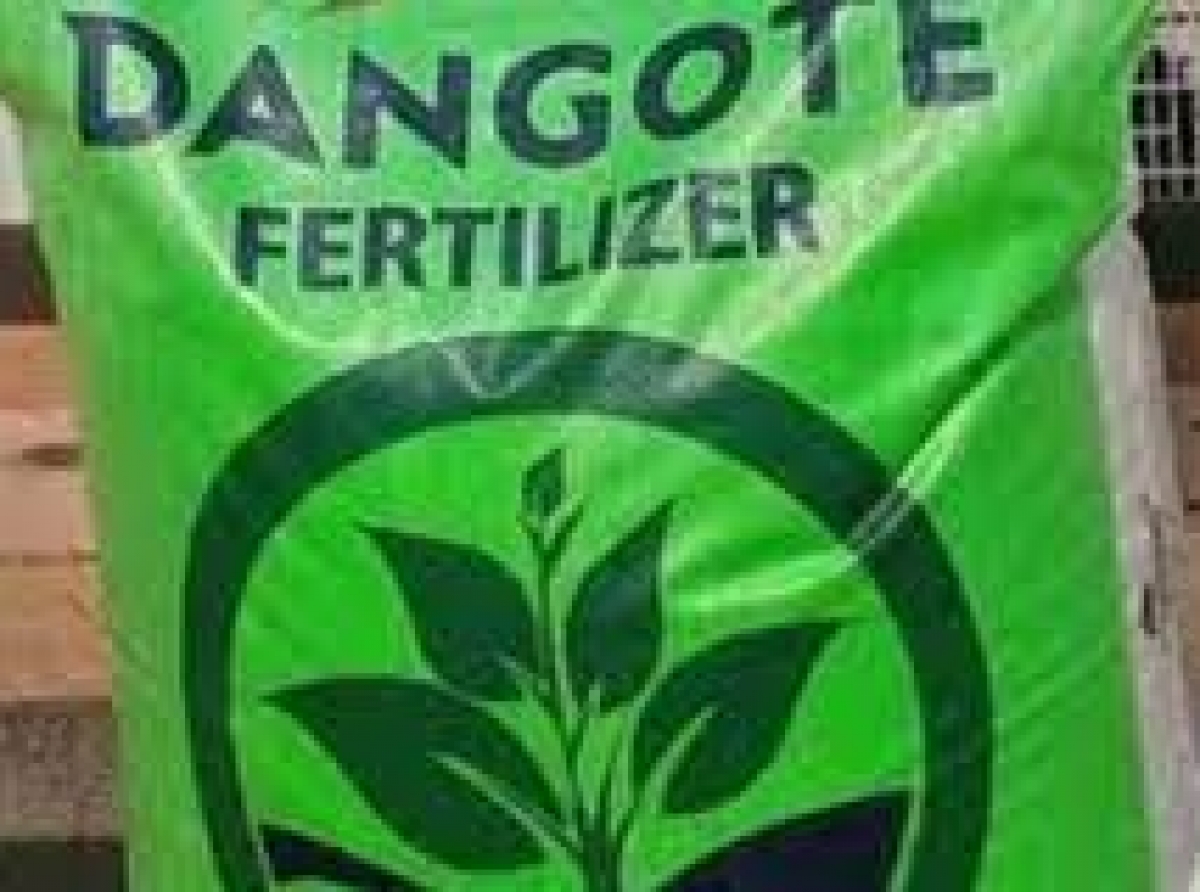Dangote's $2 billion Urea Fertilizer Plant pushes out 120 trucks every day