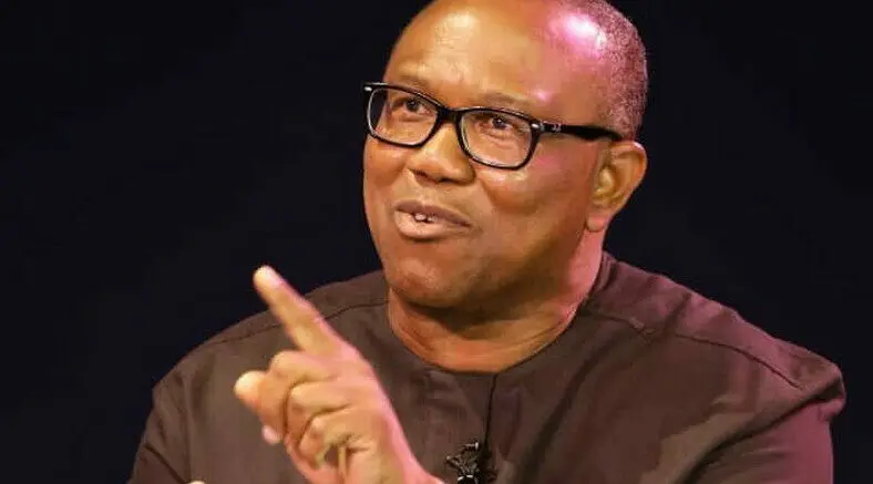 Why I dumped PDP, withdrew from Presidential race – Peter Obi